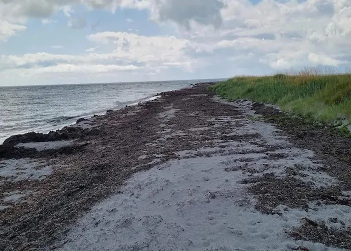 בית נופש 5 Star In